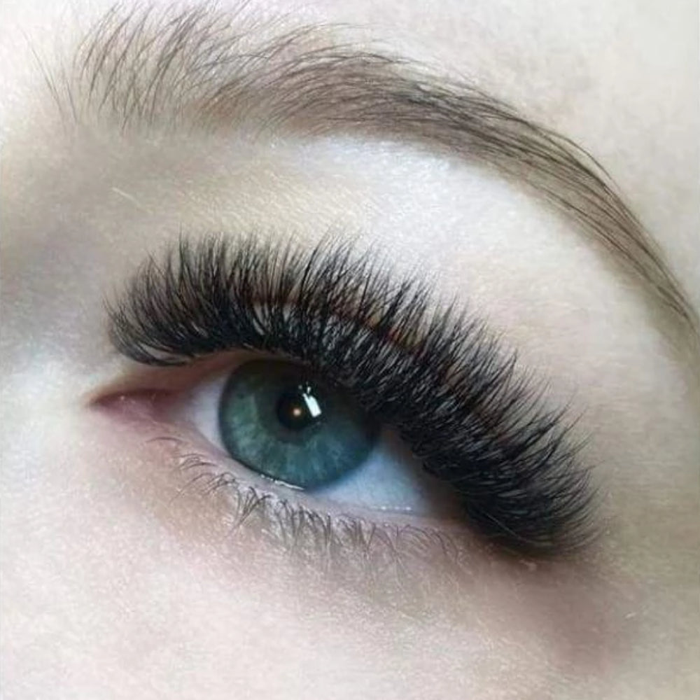 Classic, Hybrid & Russian Volume Lash Extension Training