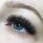 Classic, Hybrid & Russian Volume Lash Extension Training