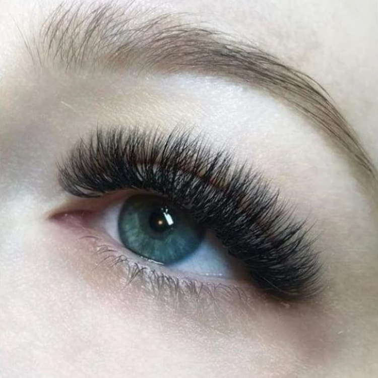 Classic, Hybrid & Russian Volume Lash Extension Training